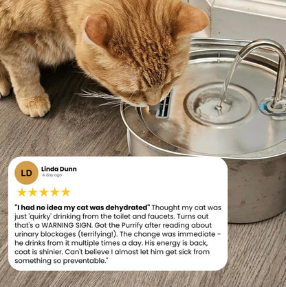 Prevent kidney failure and urinary emergencies with WhiskerWell