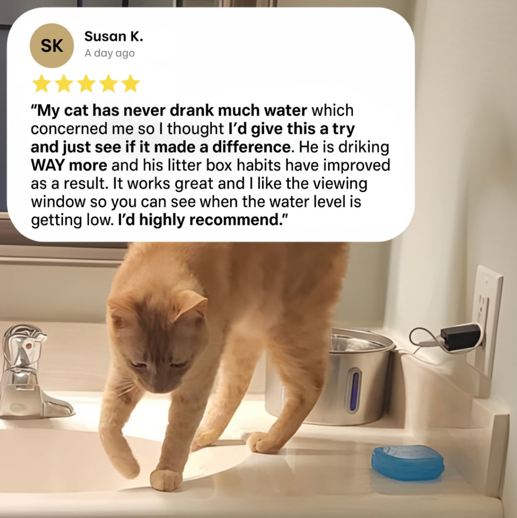 Prevent kidney failure and urinary emergencies with WhiskerWell