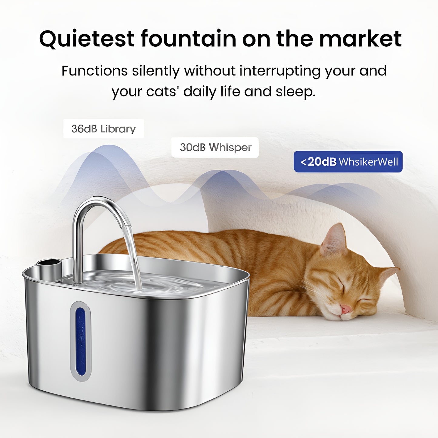 Prevent kidney failure and urinary emergencies with WhiskerWell