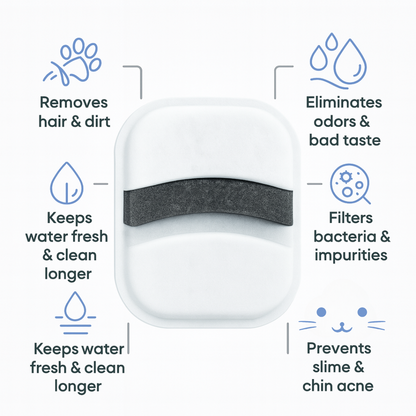 Prevent kidney failure and urinary emergencies with WhiskerWell